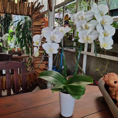 Bed and Breakfast Aunt & Uncle'S House Chiang Mai Exterior foto